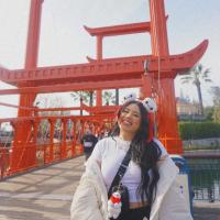 Baymax San Fransokyo Ears