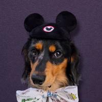 mouseketeer mickey ear hat - customizable